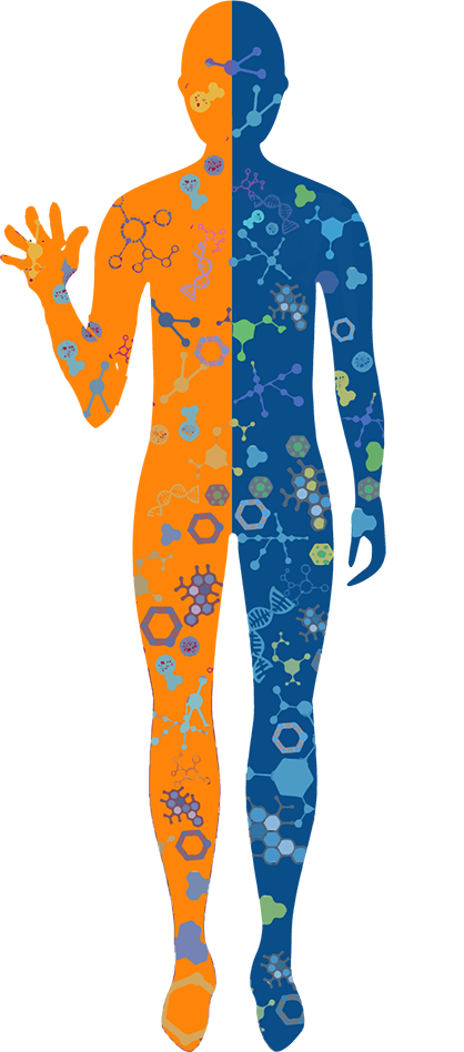 A head to toe analysis