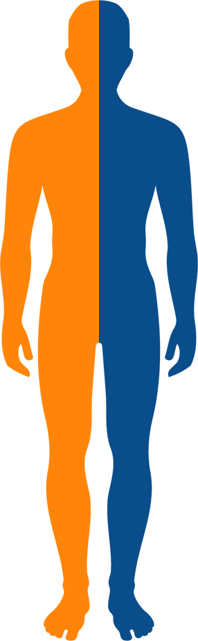 Symptom Human Body