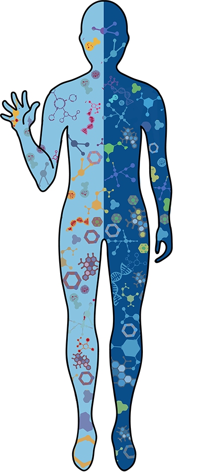 A head to toe analysis